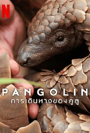pangolin-kulus-journey-2025-การเดินทางของคูลู