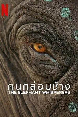 the-elephant-whisperers-2022-คนกล่อมช้าง
